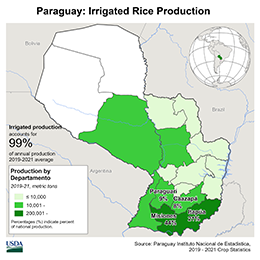 images\PA\seasonalmap\Paraguay_Irrigated_Rice_preview.png